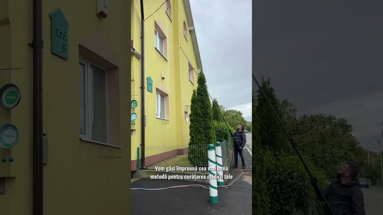 Curățare fațadă decorativă (Short)